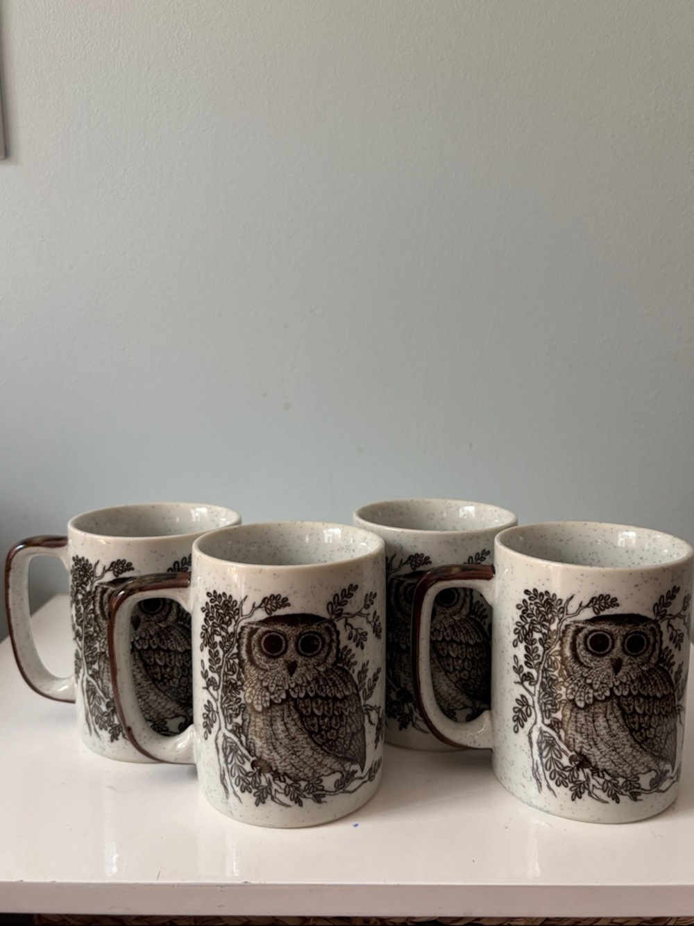 Rare Set of 4 Otagiri Brown & Cream Speckled Owl Mugs Made In Japan - Vintage